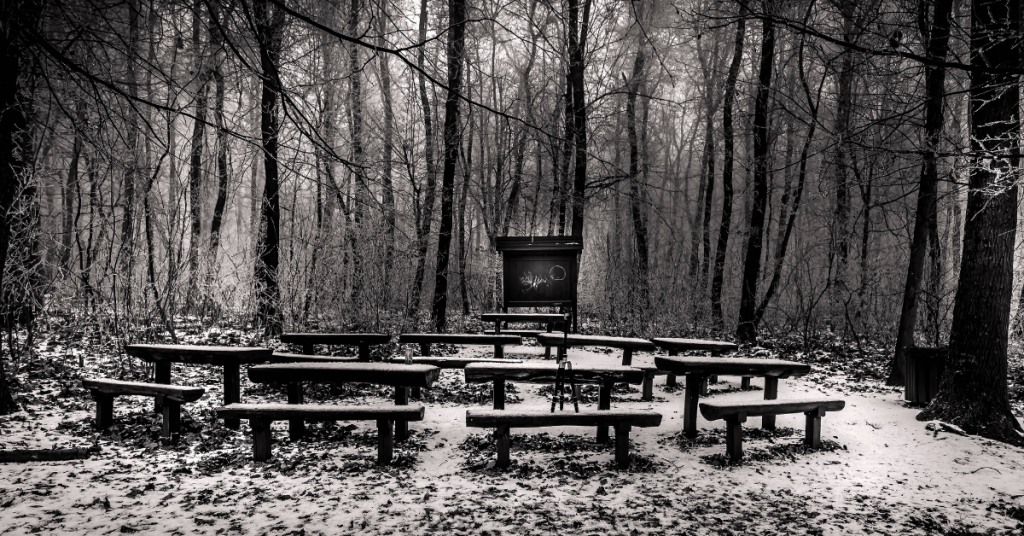 Forest School Image